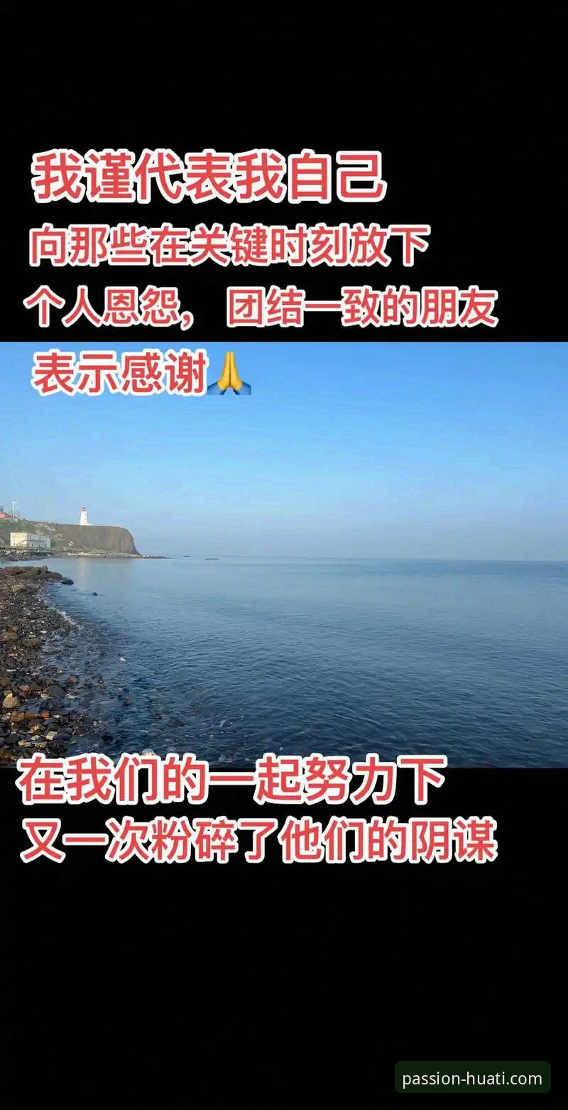 重温52年等待的3个关键时刻，华体会登录平台老用户带你看懂民主刚果的绝杀之夜